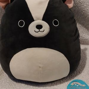 Skylar BNWT Skunk Squishmallow